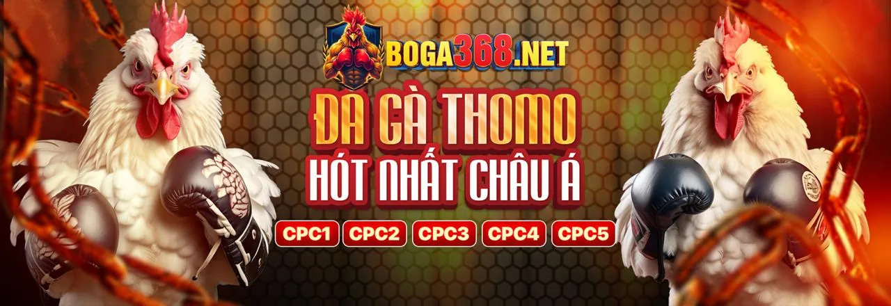 Hình ảnh cá cược thể thao tại đại lý Kubet 32
